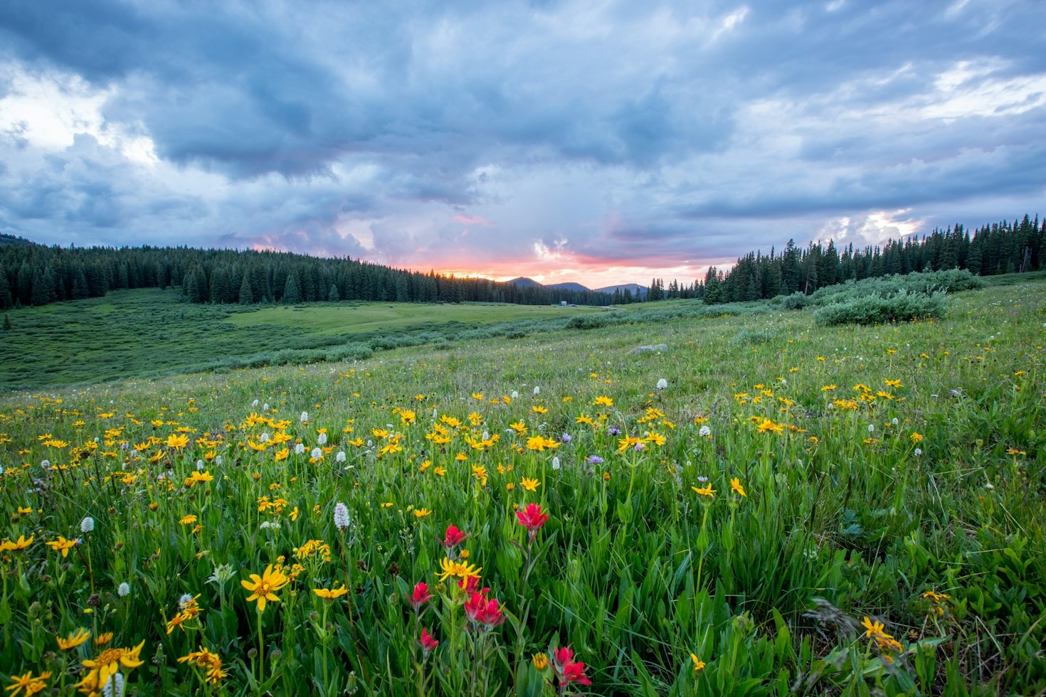 Fotografie und Freiheit: Ein Ausflug in die Berge